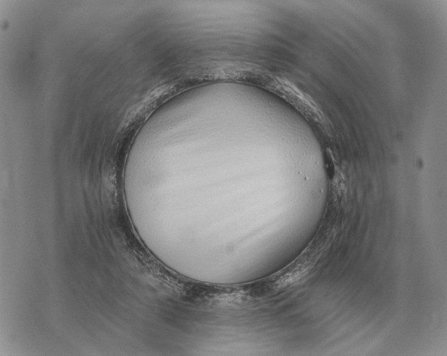 X0000072980306200608111748