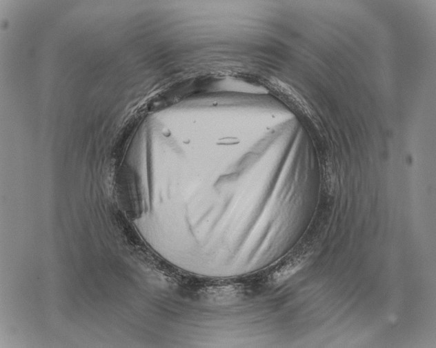 X0000072980307200608111748