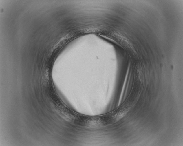 X0000072980308200608111748