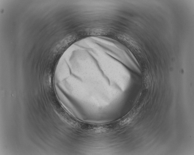 X0000072980310200608111748