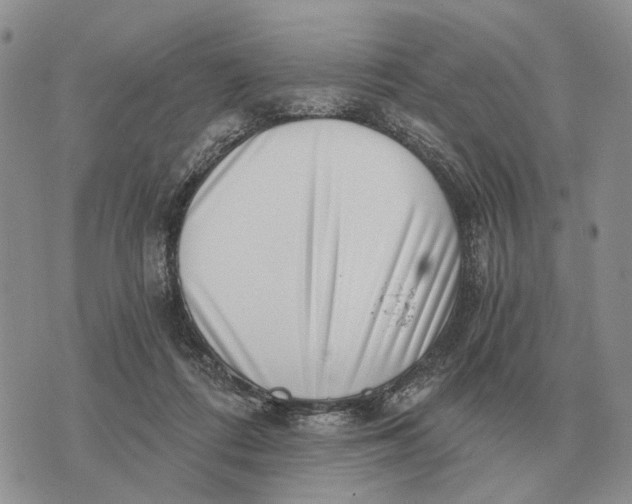 X0000072980312200608111748