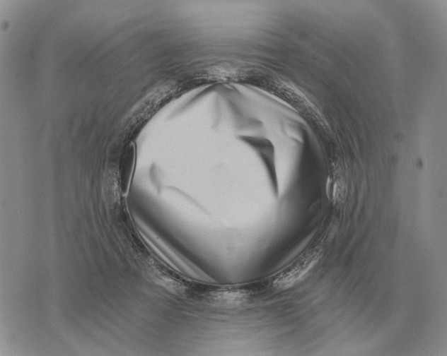 X0000072980313200608111748