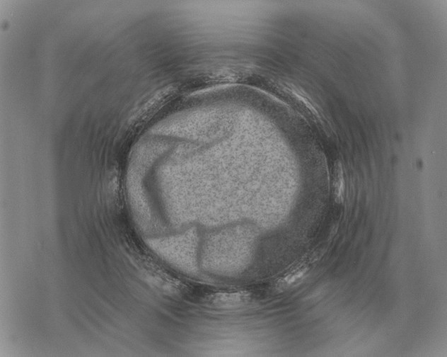 X0000072980314200608111748