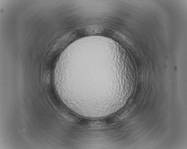 X0000072980315200608111748