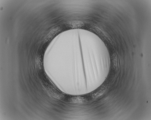 X0000072980316200608111748