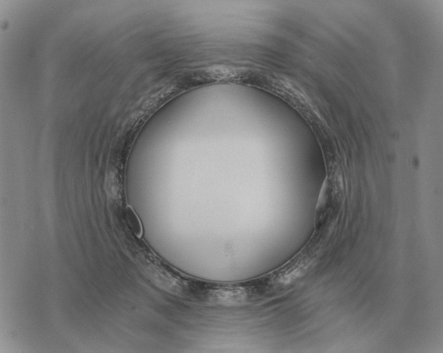 X0000072980317200608111748