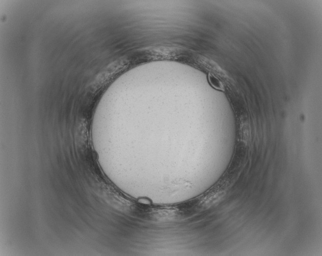 X0000072980318200608111748