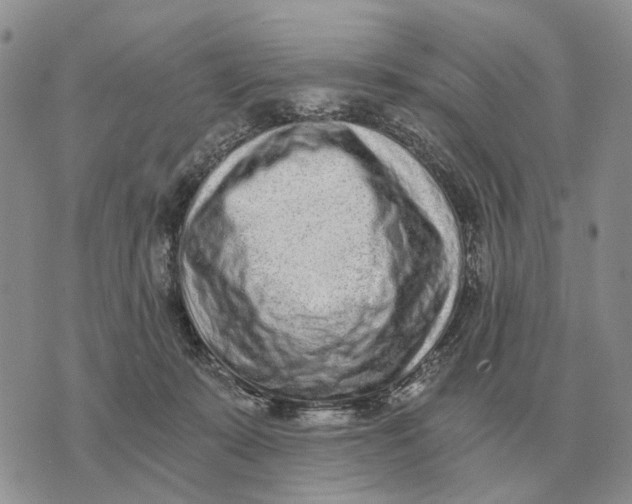 X0000072980319200608111748