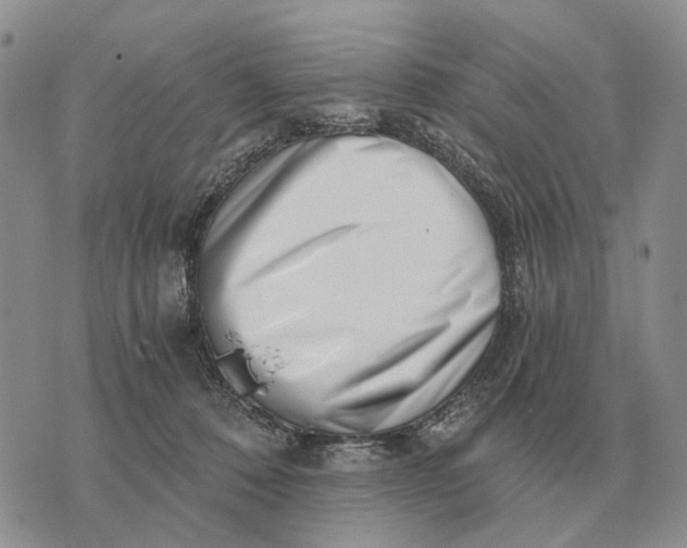 X0000072980320200608111748