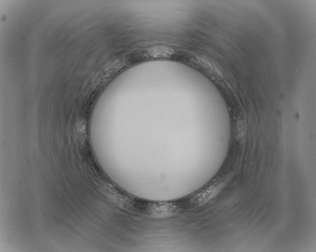 X0000072980321200608111748