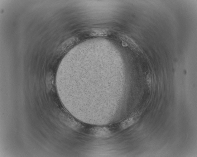 X0000072980322200608111748