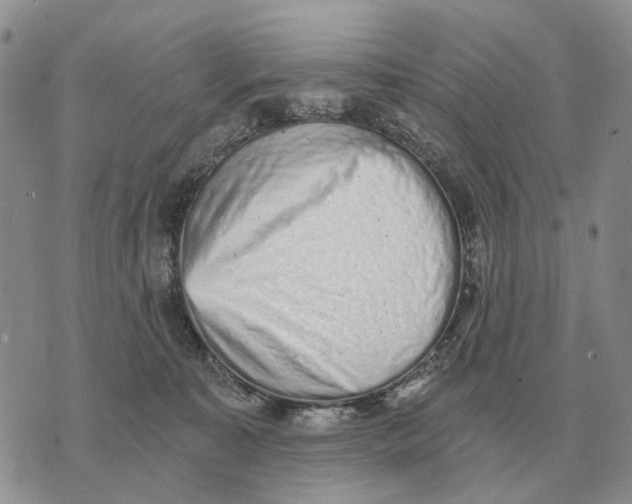 X0000072980323200608111748