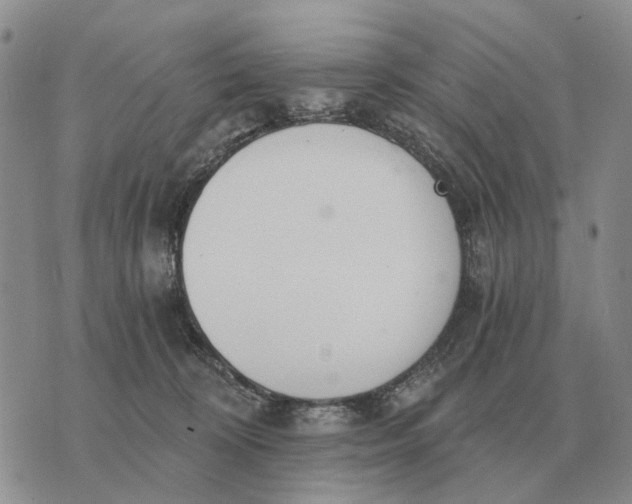 X0000072980324200608111748