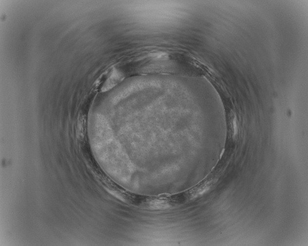 X0000072980325200608111748