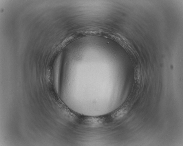 X0000072980326200608111748