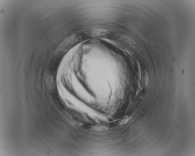 X0000072980327200608111748