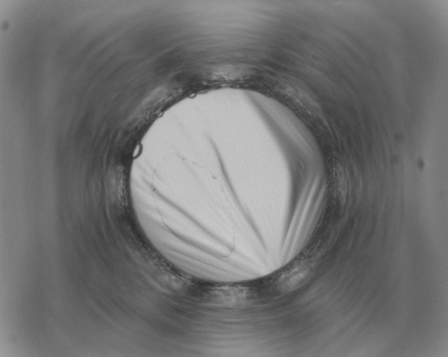 X0000072980328200608111748