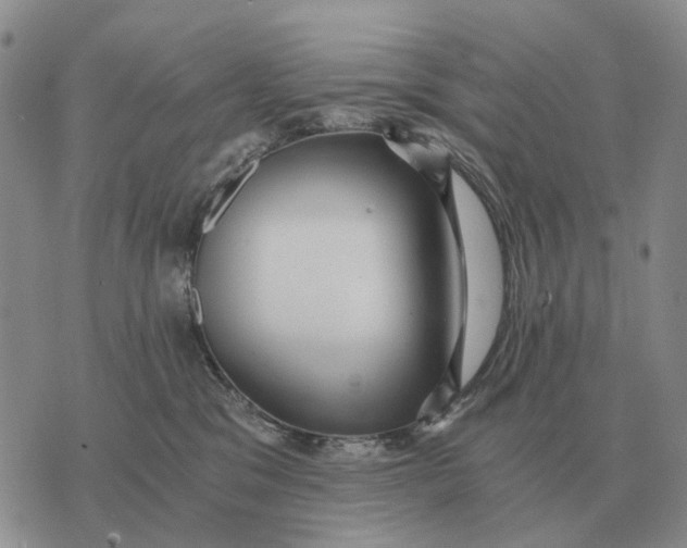 X0000072980329200608111748