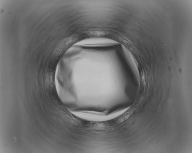 X0000072980330200608111748