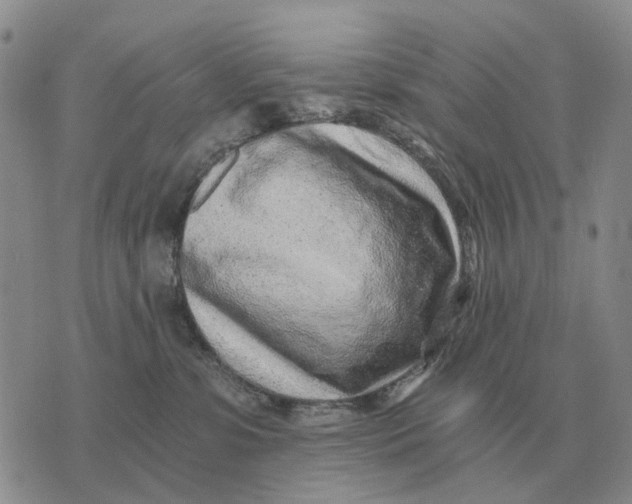 X0000072980331200608111747