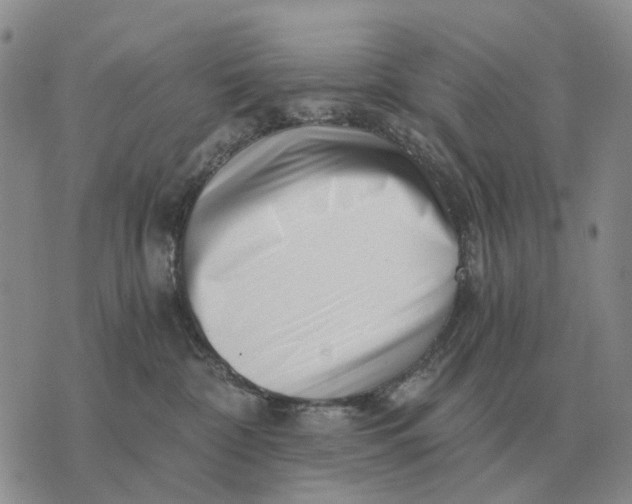 X0000072980332200608111747