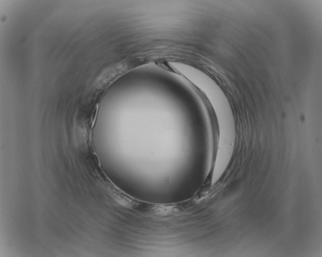 X0000072980333200608111747