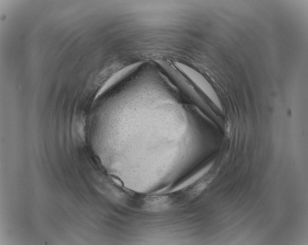 X0000072980334200608111747