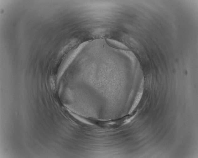 X0000072980335200608111747