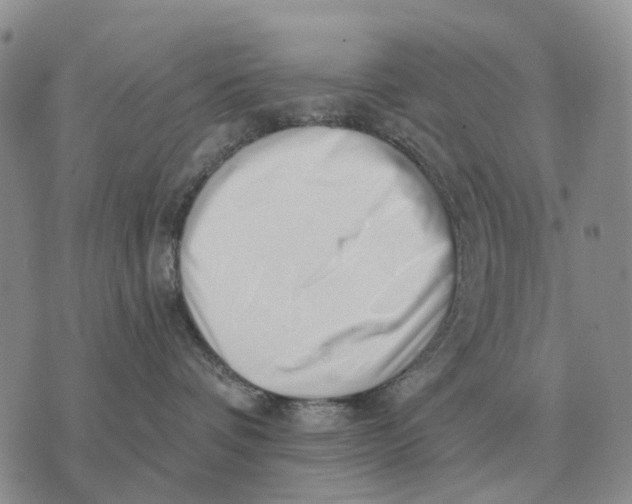 X0000072980336200608111747