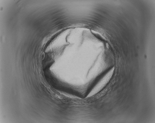 X0000072980337200608111747