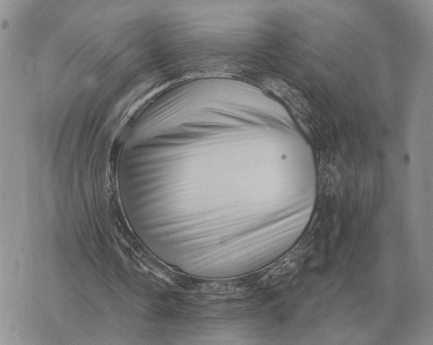 X0000072980338200608111747