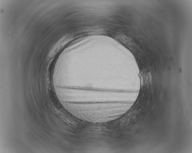 X0000072980339200608111747