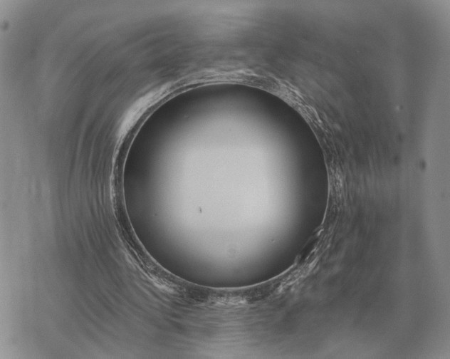 X0000072980340200608111747