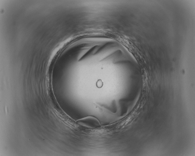 X0000072980342200608111747