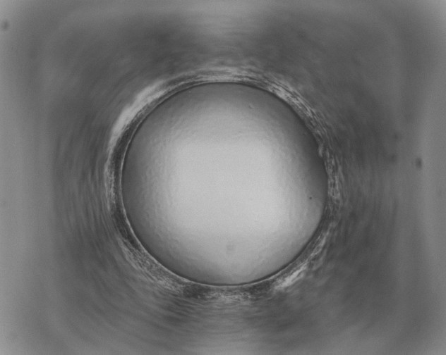 X0000072980343200608111747