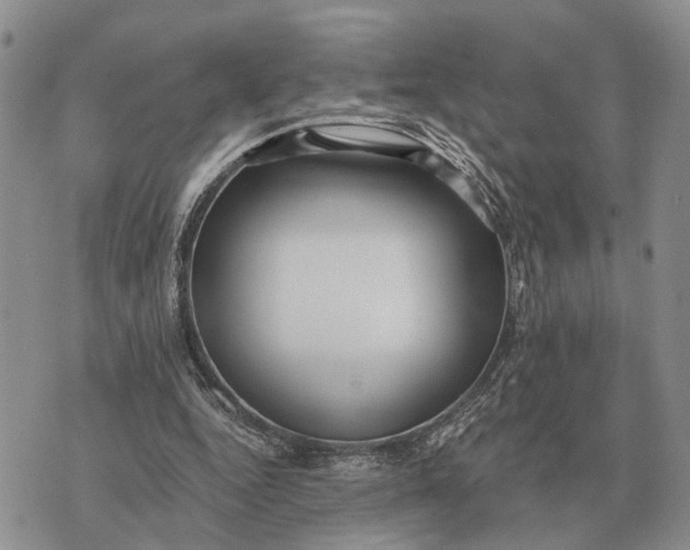 X0000072980344200608111747