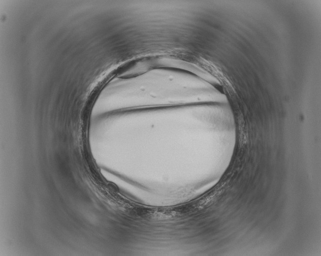 X0000072980346200608111747