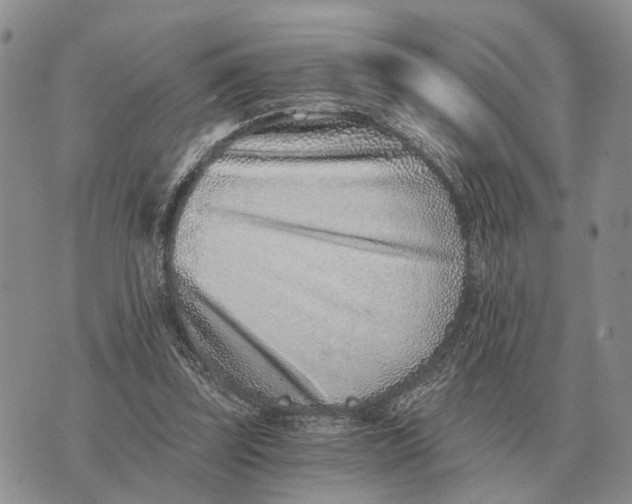 X0000072980347200608111747