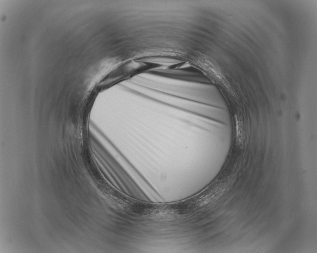 X0000072980348200608111747