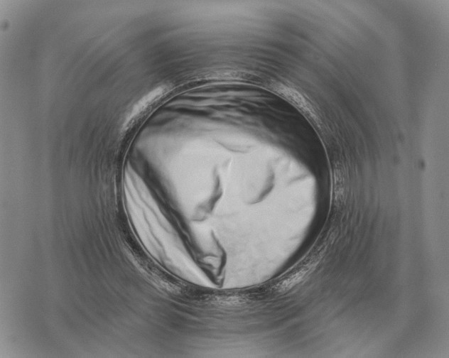 X0000072980349200608111747