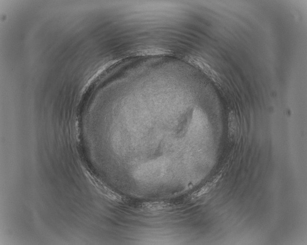 X0000072980351200608111747