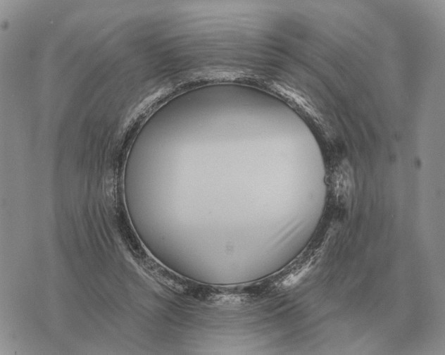 X0000072980352200608111747