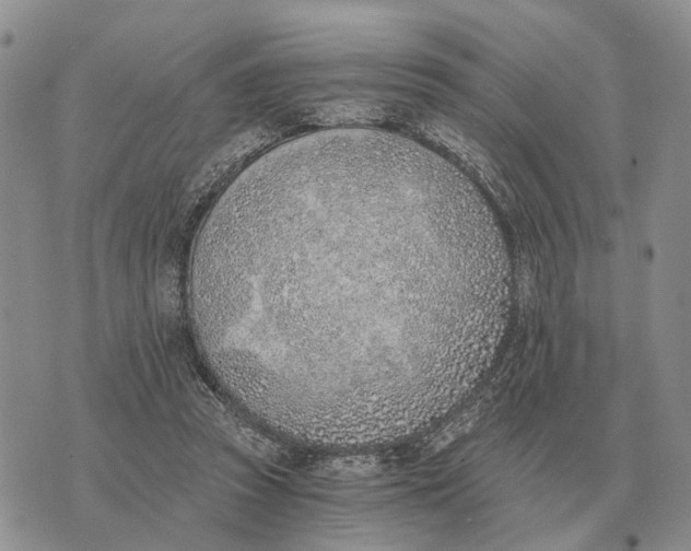 X0000072980353200608111747