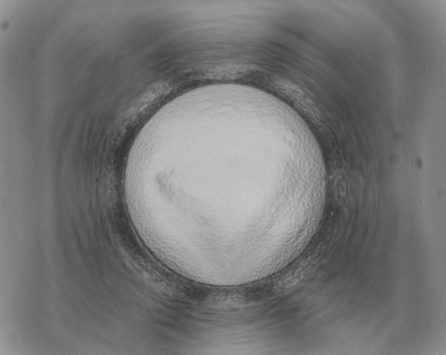 X0000072980354200608111747