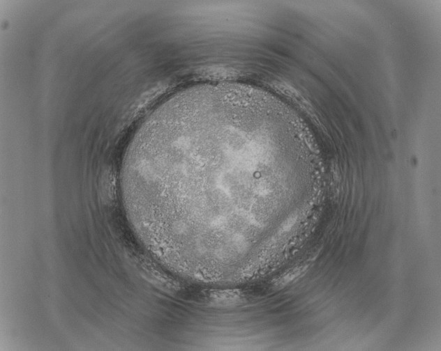 X0000072980355200608111747