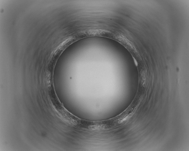 X0000072980356200608111747