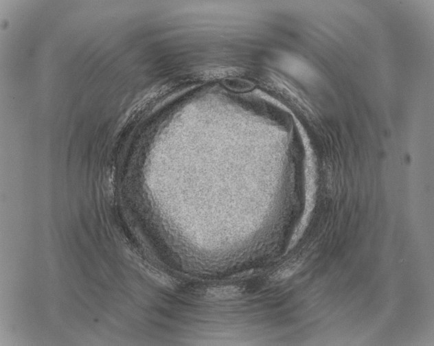 X0000072980357200608111747