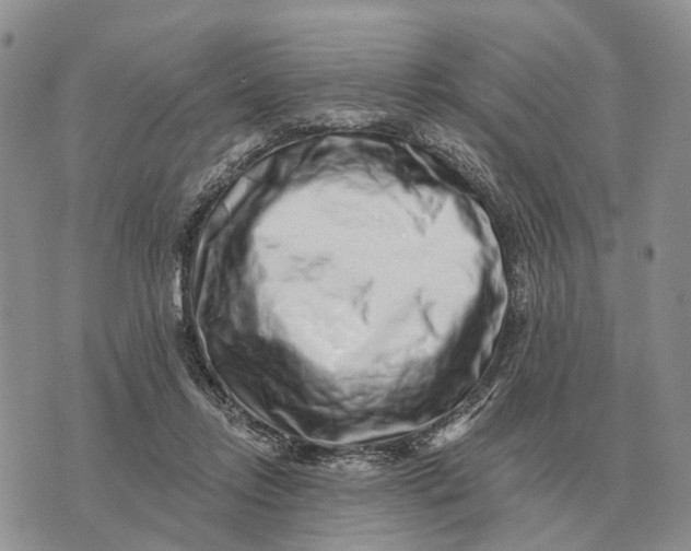 X0000072980358200608111747