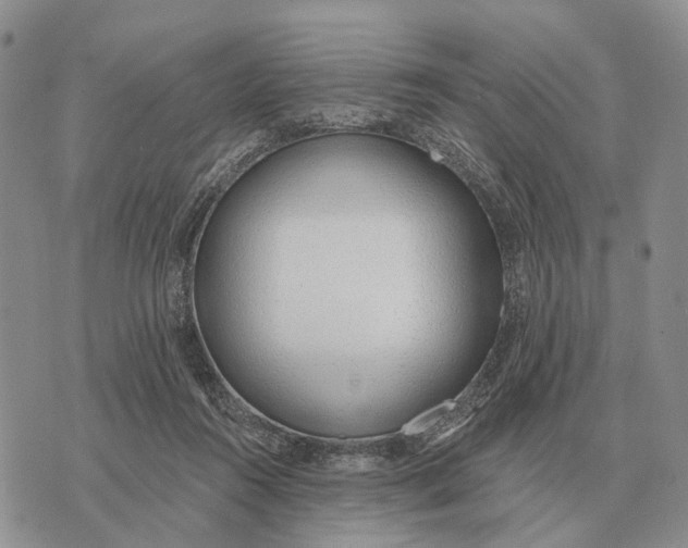 X0000072980360200608111747