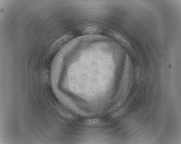 X0000072980361200608111747